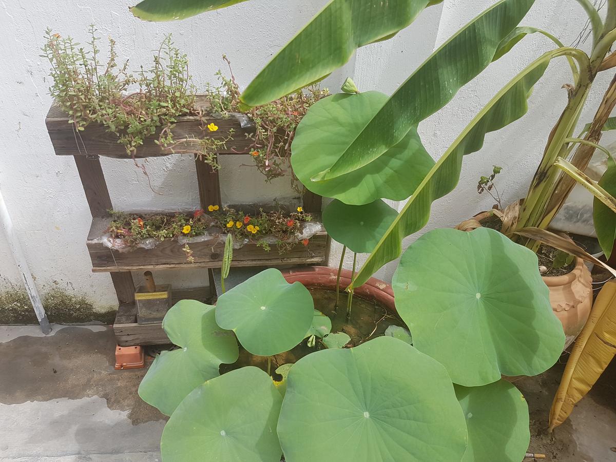 La La House Homestay Nha Trang Buitenkant foto