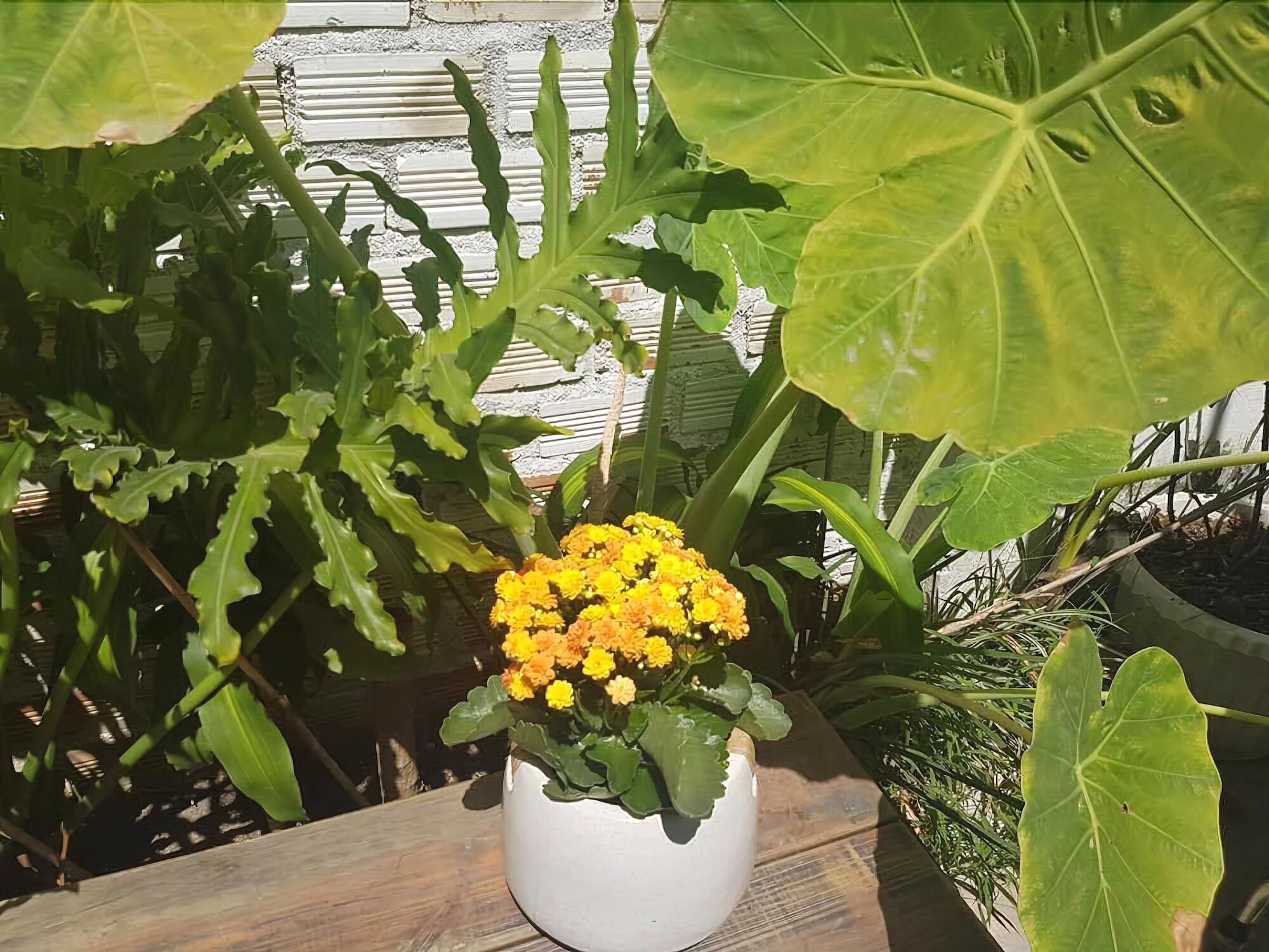 La La House Homestay Nha Trang Buitenkant foto
