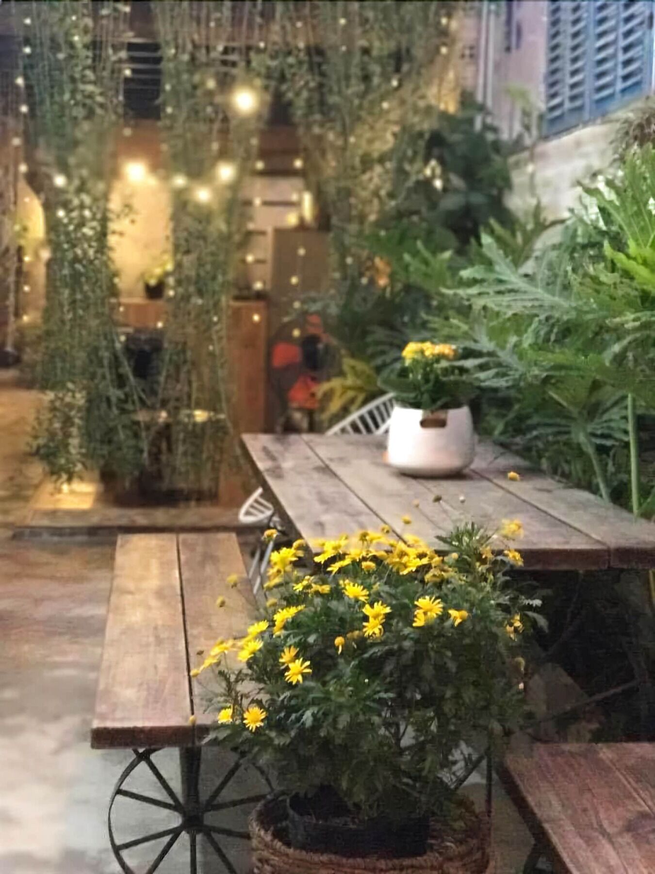 La La House Homestay Nha Trang Buitenkant foto